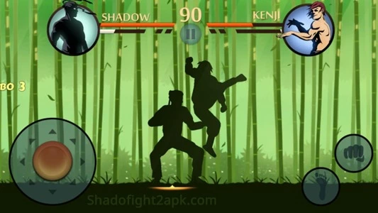 Screenshot of Shadow Fight 2